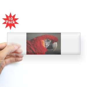   Bumper Sticker Clear (10 Pack) Scarlet Macaw   Bird: Everything Else