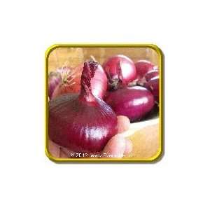  1 Lb   Onion Seeds   Red Cippolini Bulk Vegetable Seeds 