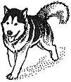 Unmounted Rubber Stamps 4 pc Dog Set, Sled Dogs, Alaska  