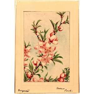  187  Japanese Print . Peach tree branches with leaves and blossoms 