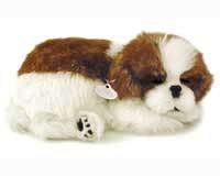   back to home page bread crumb link collectibles animals dogs shih tzu