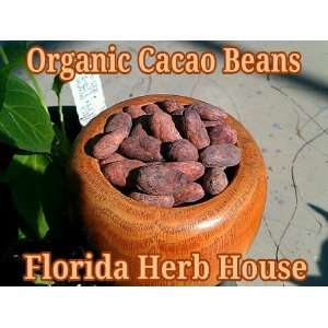 Organic Cacao Beans   4 oz (1/4 lb)   Deluxe Unrefined Whole Cacao