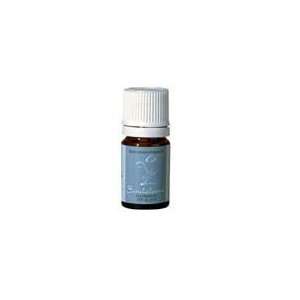  SANDALWOOD (5ML), Pure Essential Oil, FAST SHIPPING 