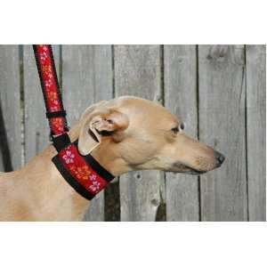  Martingale Hound Dog Collar w/ Leash   12 patterns Pet 