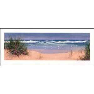  Secluded Beach Poster Print