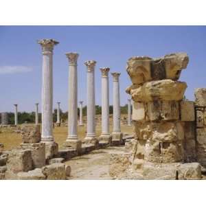  Roman Ruins, Salamis, North Cyprus, Europe Premium 