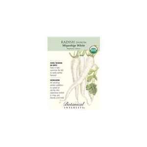 Botanical Interest   Radish Daikon (White) (Certified 