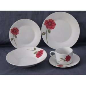   : 20 piece Porcelain Dinnerware Set   Service for 4: Kitchen & Dining