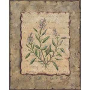  Constance Lael   Vintage Herbs Sage Canvas