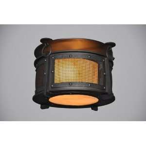 Rogue River Harstene Ceiling Mount   Mesh