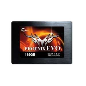  115GB G.Skill Phoenix Evo 2.5 inch SATA Solid State Disk 