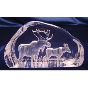  Intaglio Engraved Moose & Calf Sculpture