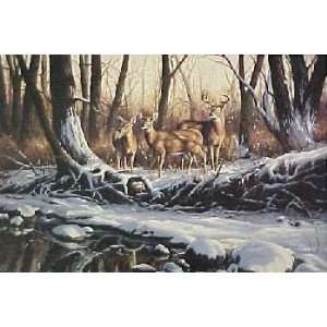  Rosemary Millette   Stone Creek Deer