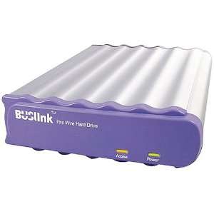  Buslink 100GB 7200Rpm External Hard Drive (MFW 100) Electronics