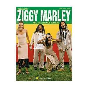   The Best of Ziggy Marley and the Melody Makers: Musical Instruments
