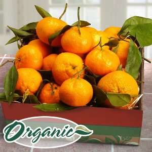Mendocino Organic Mandarins Gift Box  Grocery & Gourmet 