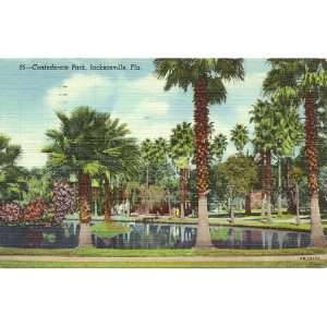   Postcard   Confederate Park   Jacksonville Florida 