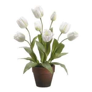 20 Dutch Tulip in Paper Mache Pot Cream Green (Pack of 4)  