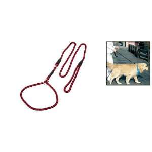   Nylon Adjustable Collar and Leash Set for Small Dog: Pet Supplies