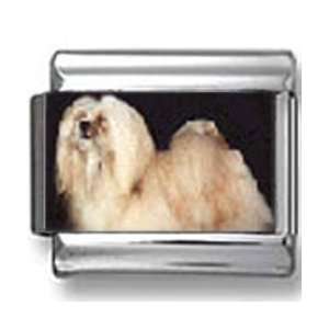  Lhasa Apso Dog Photo Italian Charm: Jewelry