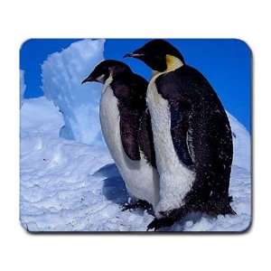  Penguins Large Mousepad mouse pad Great Gift Idea Office 