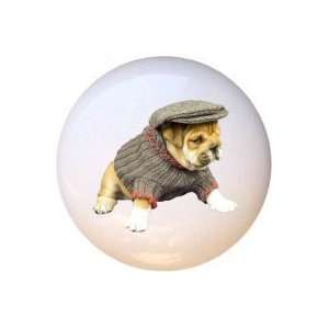  All Dressed Up Dog Dogs Drawer Pull Knob: Home Improvement