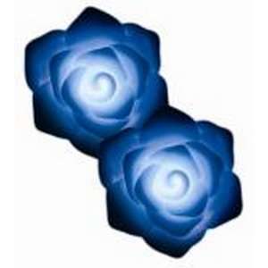  H2Glo: Water Activated Roses  4 Blue Roses Pack: Home 