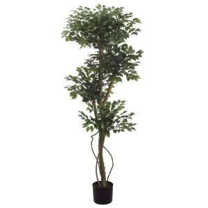  5 Multi Head Mini Ficus Silk Tree w/Pot  1,188 Leaves 