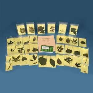 Leaf Identification Kit  Industrial & Scientific
