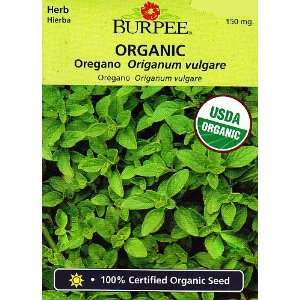  Burpee Organic Oregano Herb Seeds   150 mg Patio, Lawn 
