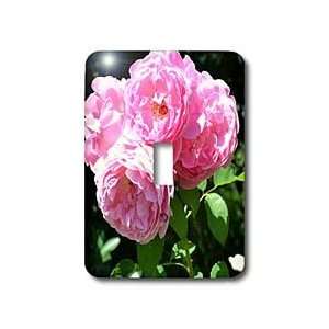   Pink Roses Flowers   Light Switch Covers   single toggle switch: Home
