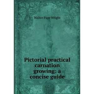  Pictorial practical carnation growing: a concise guide 