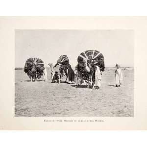 1901 Print Camel Caravan Transport Berber Nomad Sahara Desert Africa 