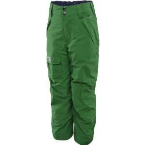  THE NORTH FACE Boys Freedom Insulated Pants: Sports 