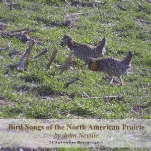    Bird Songs of the North American Prairie John Neville Music