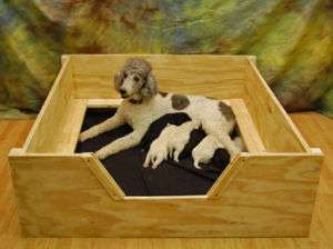 Whelping Box 6x4 XXLARGE w/RAILS Dog,Puppy,Pen,Free S&H  