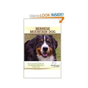 Bernese Mountain Dog A Practical Guide for the Bernese Mountain Dog 