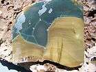 Blue Mountain Jasper Slab Lapidary Great For Cabs 