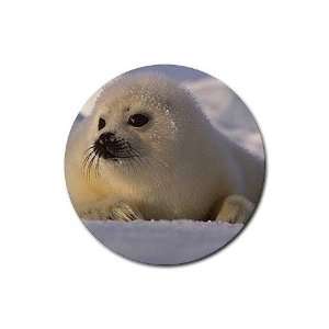  Seal Pup Rubber Round Coaster (4 pack)