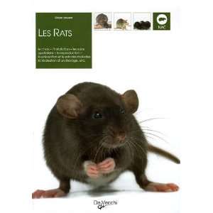  Les rats (French Edition) (9782732884202) Olivier Laurent 