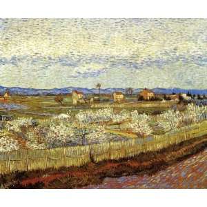  Van Gogh Art Reproductions and Oil Paintings La Crau with 