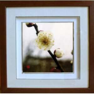  Framed Chinese Silk Embroidery : Plum Blossom 13.8x13.8 
