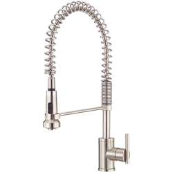 Danze Parma Stainless Steel Kitchen Faucet and Gift  
