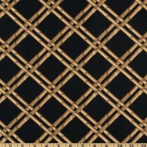  54 Wide Bryant Indoor/Outdoor Cabana Onyx Fabric By The 