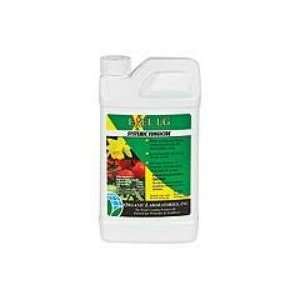  Exel LG Systemic Fungicide Concentrate, qt