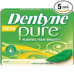 Dentyne Pure Gum, Mint with Melon Accents, 3 Count Packs (Pack of 5 