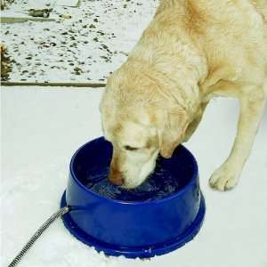  Thermal Dog Bowl   2 Sizes   