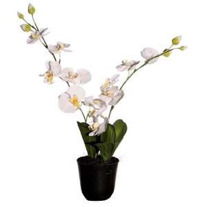 24 Potted Artificial Cymbidium Orchid Silk Flower Arrangement  Eco 