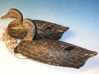 Antique Alfred E.’Sonny’ Johnson Wildfowler Decoys Co.,New Jersey 