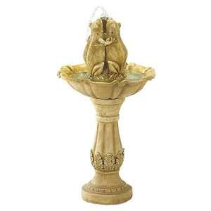  PWM Enterprises Frog Fountain with Stand Floor Fountain 